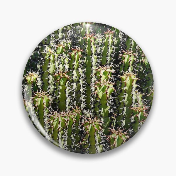 Artikelvorschau, Wrigley Memorial Botanical Gardens Studie 5 entworfen und verkauft von Robert Meyers-Lussier.