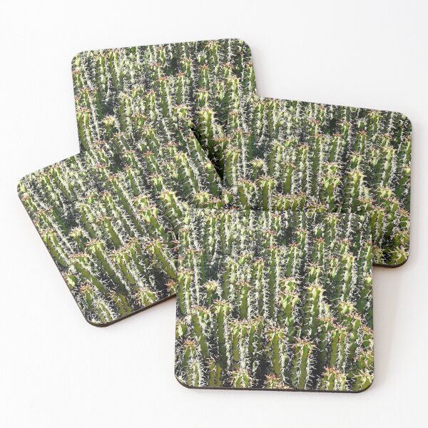 Item preview, Wrigley Memorial Botanical Gardens Study 5  designed and sold by Robert Meyers-Lussier.