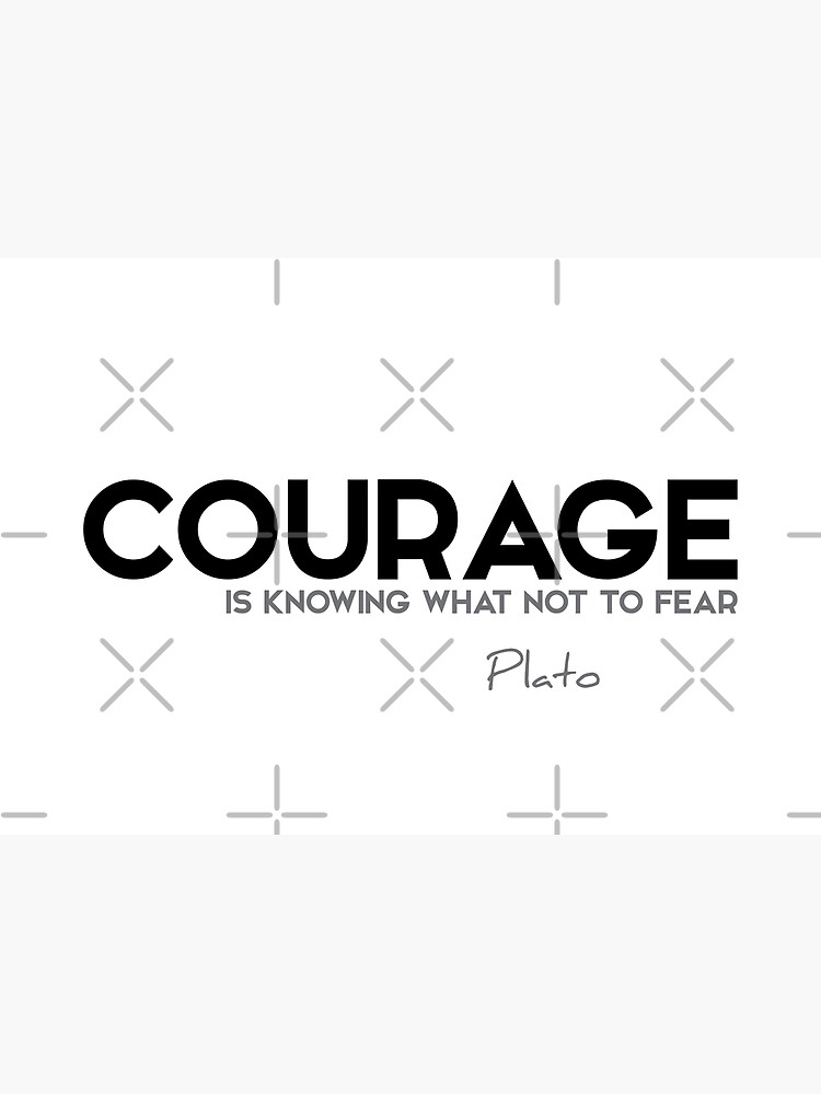 courage is knowing what not to fear - plato by razvandrc