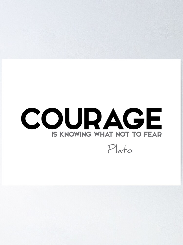 Alternate view of courage is knowing what not to fear - plato Poster