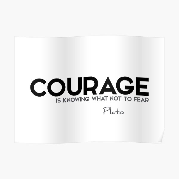 courage is knowing what not to fear - plato Poster