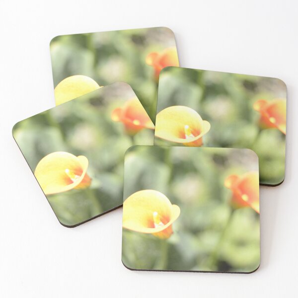 Item preview, Soft Calla Lillies or Arum Lilies  photographed designed and sold by JessicaKeegan.