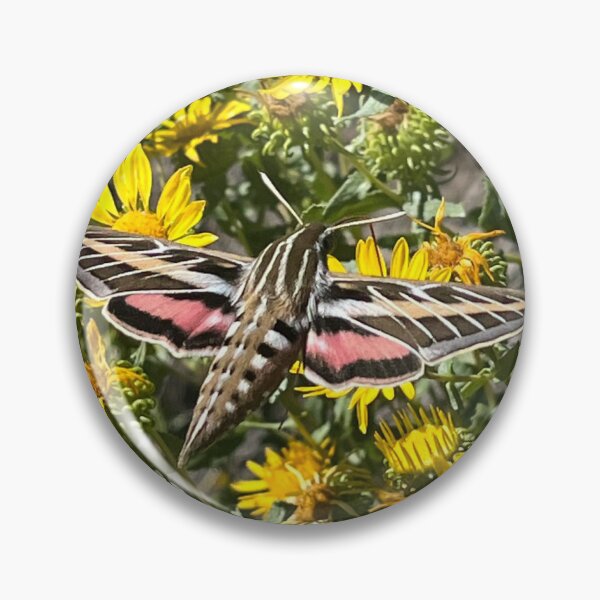 Item preview, Hummingbird Moth designed and sold by nickelbuchy.