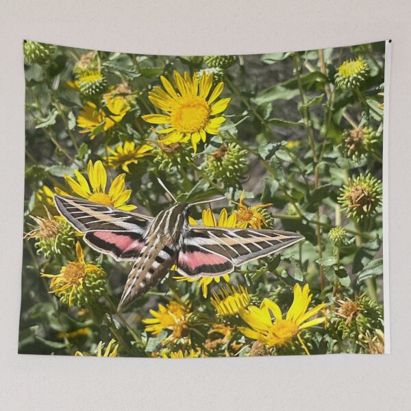 Item preview, Hummingbird Moth designed and sold by nickelbuchy.