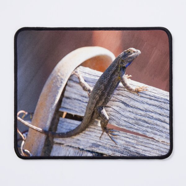 Item preview, Lizard Basking in the Sun designed and sold by CarolM.