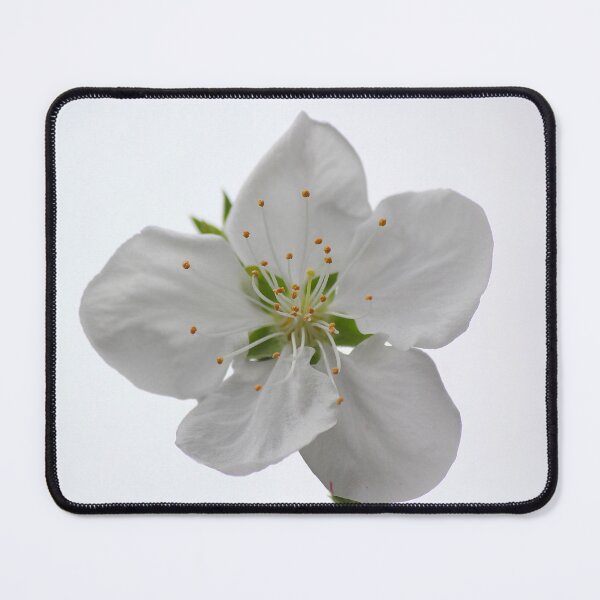 Item preview, Peach Flower designed and sold by Kim Chi Thai.