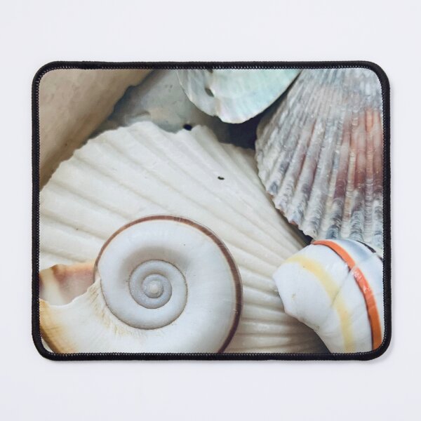 Item preview, Assorted snail seashells  designed and sold by Neeshki.