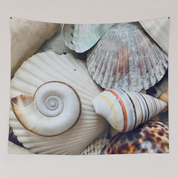 Item preview, Assorted snail seashells  designed and sold by Neeshki.