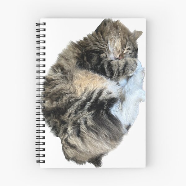 Item preview, Sleeping Tabby Cat Fetus Position designed and sold by sociallyawkw.
