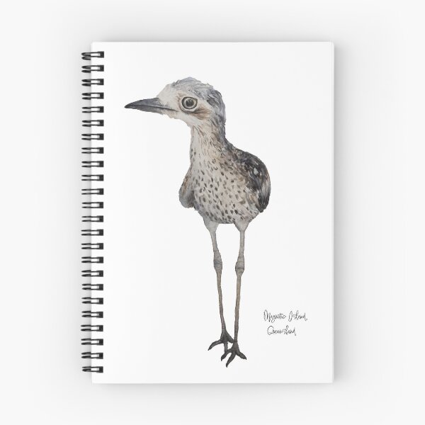 Item preview, Magnetic Island Bush-Stone Curlew designed and sold by hannahaiello.