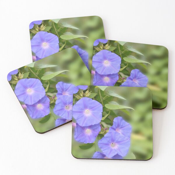 Item preview, The Railway Creeper photograph. designed and sold by JessicaKeegan.
