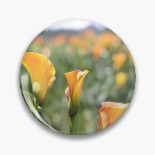 Item preview, Yellow Calla Lilies landscape designed and sold by JessicaKeegan.
