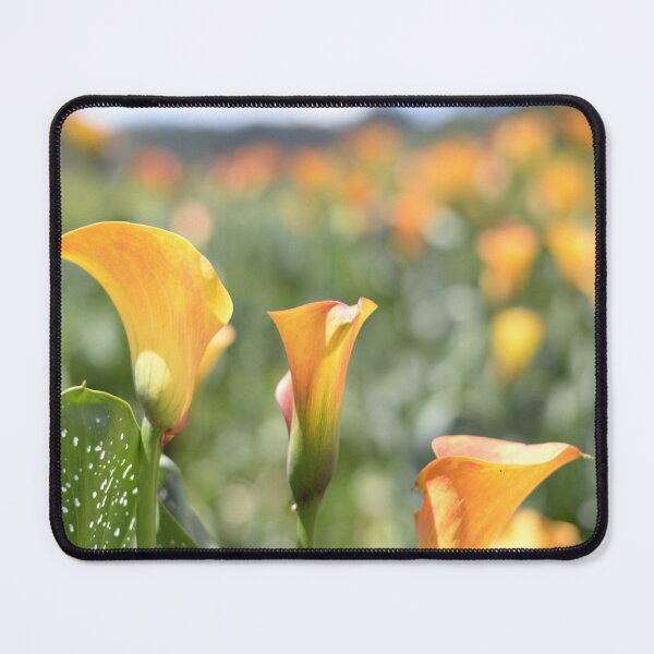 Item preview, Yellow Calla Lilies landscape designed and sold by JessicaKeegan.