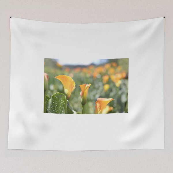 Item preview, Yellow Calla Lilies landscape designed and sold by JessicaKeegan.
