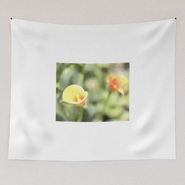 Item preview, Soft Calla Lillies or Arum Lilies  photographed designed and sold by JessicaKeegan.
