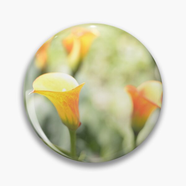 Item preview, Soft beautiful yellow Calla Lilies designed and sold by JessicaKeegan.