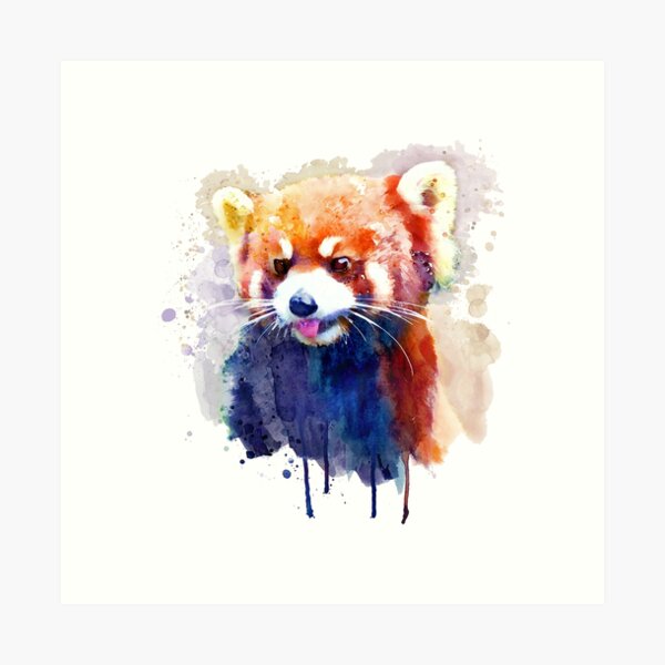 Red Panda Drawing Wildlife Art Hand Drawn Animal Illustration ORIGINAL  Artwork 8x10 -  Canada