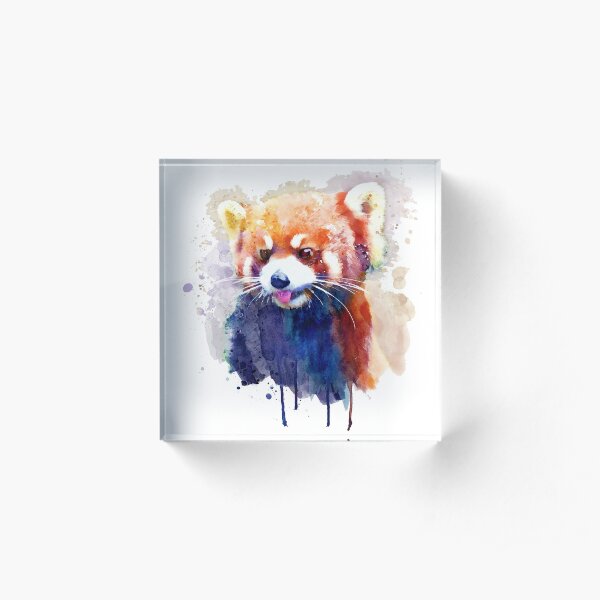 Red Panda Portrait Acrylic Block