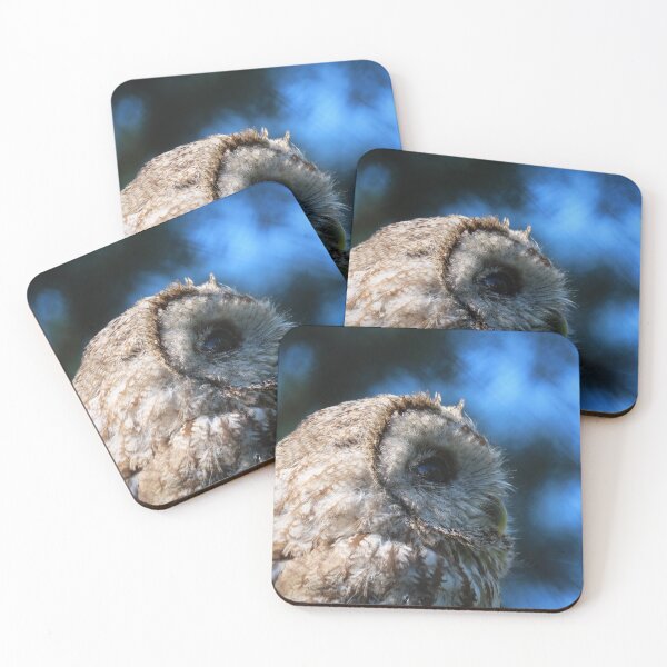Item preview, Contemplative tawny owl designed and sold by WildEncounters.