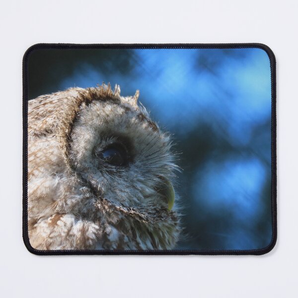 Item preview, Contemplative tawny owl designed and sold by WildEncounters.