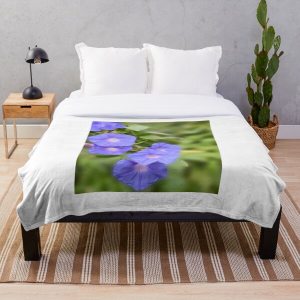 Item preview, The Railway Creeper photograph. designed and sold by JessicaKeegan.