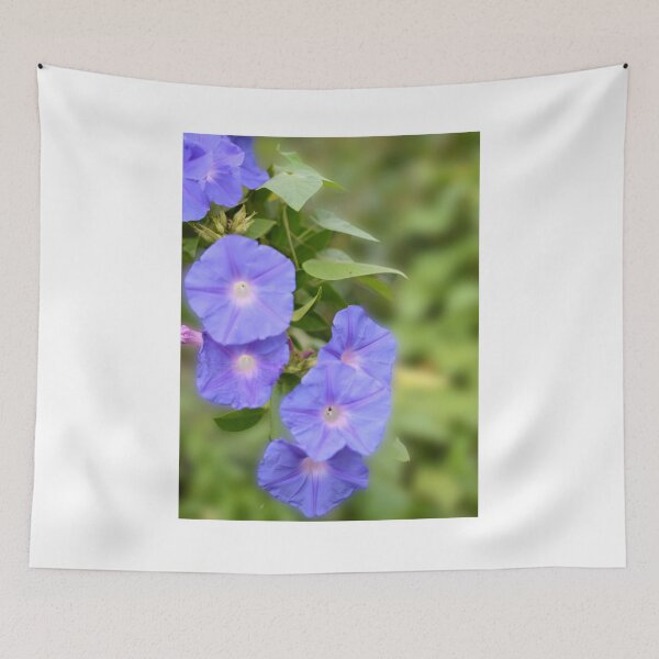 Item preview, The Railway Creeper photograph. designed and sold by JessicaKeegan.