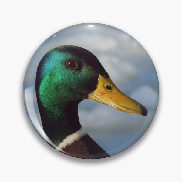 Item preview, Retrato de ánade real de invierno designed and sold by WildEncounters.