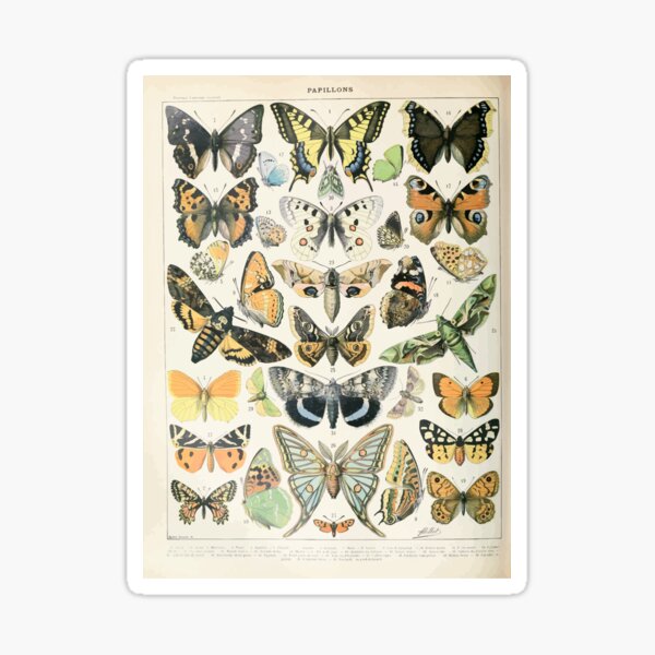 Item preview, Adolphe Millot papillons A designed and sold by wetdryvac.
