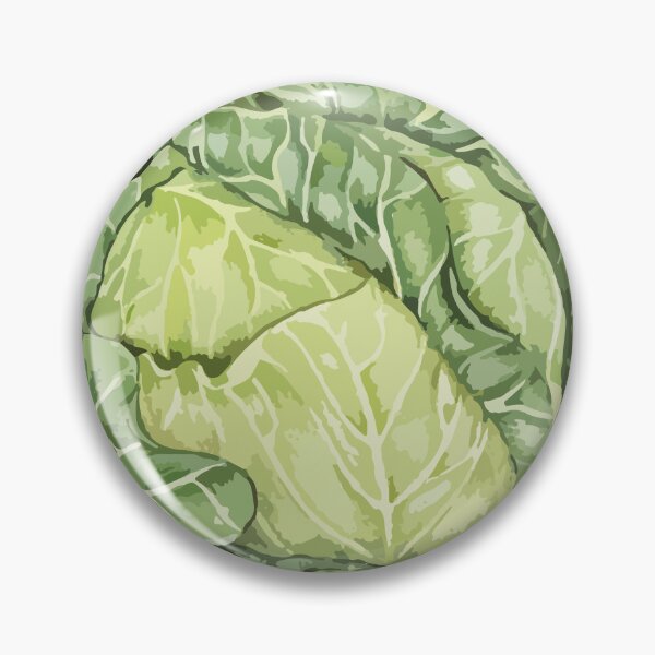Item preview, Cabbage is a leafy vegetable designed and sold by Satika Ploy.