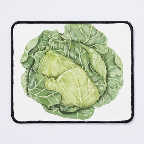 Item preview, Cabbage is a leafy vegetable designed and sold by Satika Ploy.