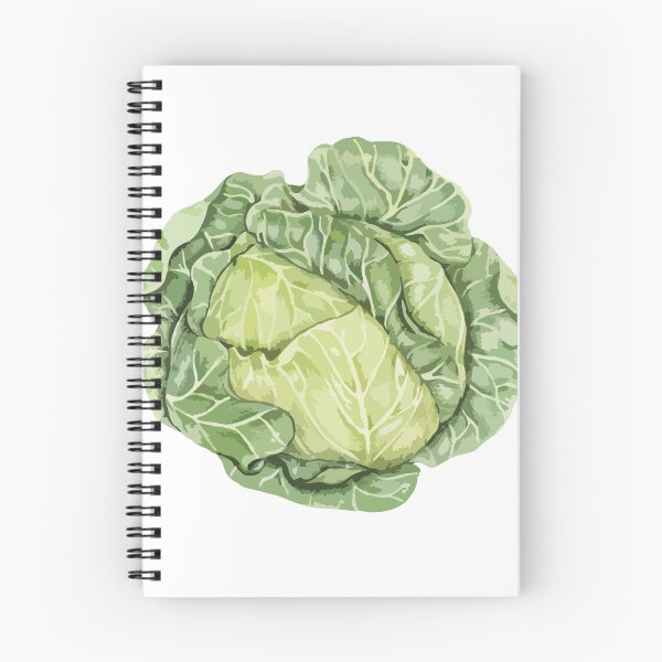 Item preview, Cabbage is a leafy vegetable designed and sold by Satika Ploy.