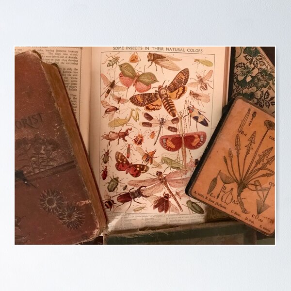 Item preview, Vintage Insects 2 designed and sold by Clarissa Sharp.