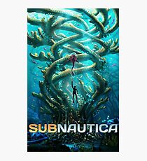 Lámina fotográfica subnautica 2