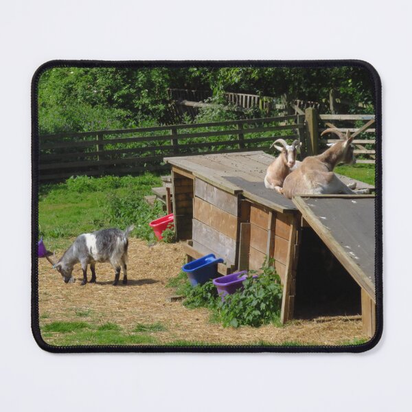 Item preview, Three Happy Goats designed and sold by wiggyofipswich.