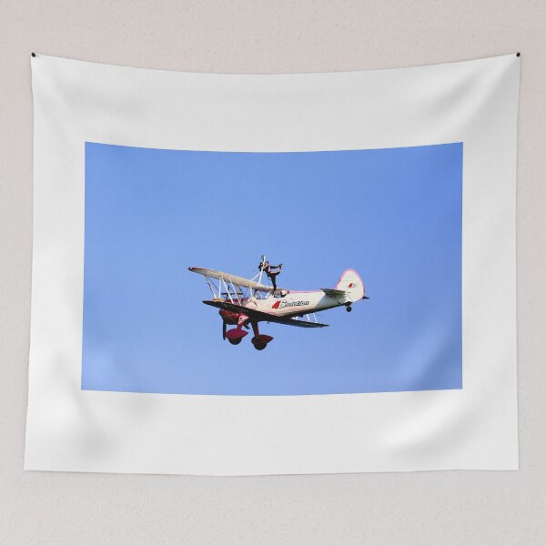 Item preview, Air Show  designed and sold by annalisa56.