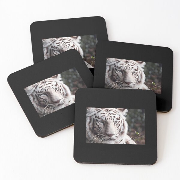 Item preview, White Bengal Tiger Photograph  I Love Tigers  Shere Khan  	 designed and sold by tcygmafem48.