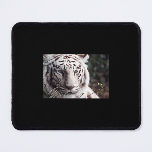 Item preview, White Bengal Tiger Photograph I Love Tigers Shere Khan designed and sold by tcygmafem48.