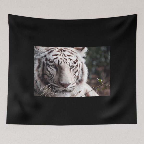 Item preview, White Bengal Tiger Photograph  I Love Tigers  Shere Khan  	 designed and sold by tcygmafem48.