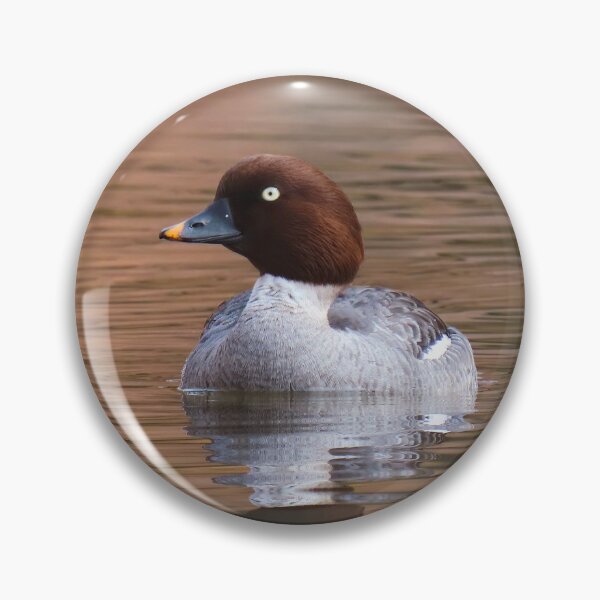 Item preview, Autumn female goldeneye designed and sold by WildEncounters.