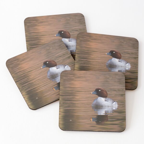 Item preview, Autumn female goldeneye designed and sold by WildEncounters.
