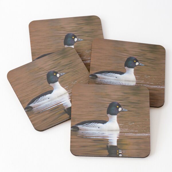 Item preview, Autumn male goldeneye designed and sold by WildEncounters.