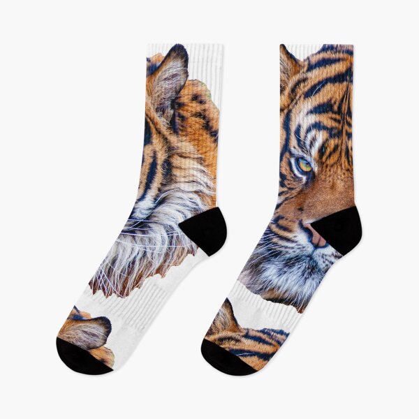 Item preview, Sumatran Tiger with his eyes on you designed and sold by Dalyndigital Photography.