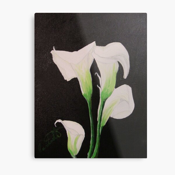 Calla Lily Metal Print