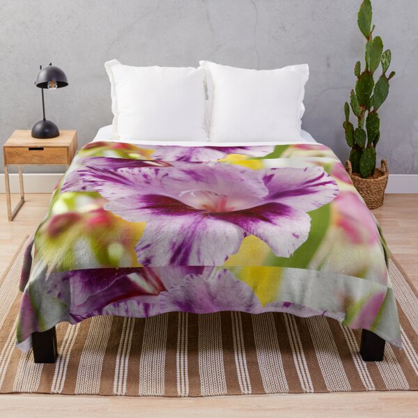Item preview, Gladiolus 'Passos' designed and sold by Chris Burrows.