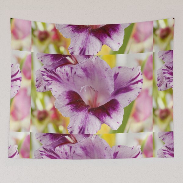 Item preview, Gladiolus  'Passos'   designed and sold by Chris Burrows.