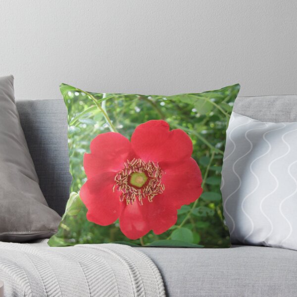 Item preview, Colour me scarlet! Wild Rose and Buds designed and sold by MidnightMelody.