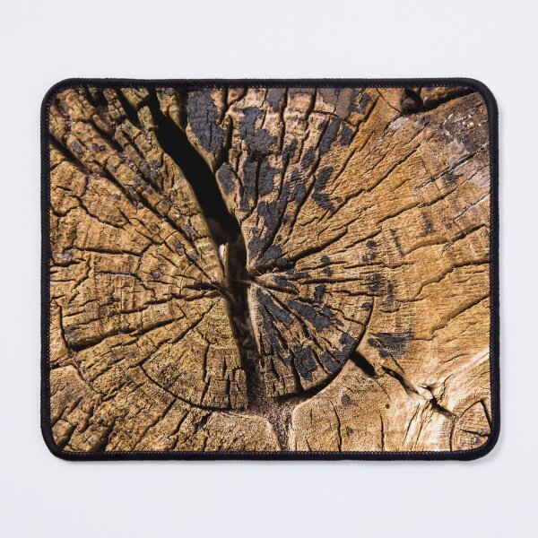 Item preview, Old tree trunk in the forest designed and sold by Postertale.