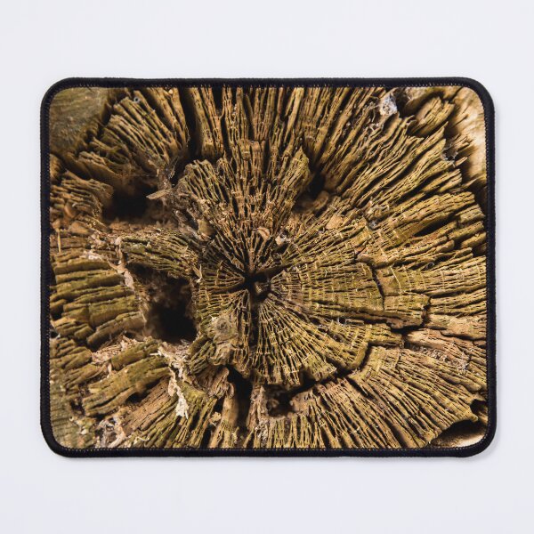 Item preview, Old tree trunk in the forest designed and sold by Postertale.