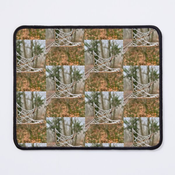 Item preview, UniquelyLaurel, Winter cobweb outdoors, photograph, damp in the Forest of Dean designed and sold by UniquelyLaurel.