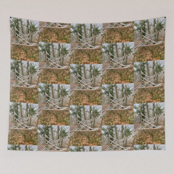 Item preview, UniquelyLaurel, Winter cobweb outdoors, photograph, damp in the Forest of Dean designed and sold by UniquelyLaurel.